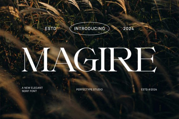 Magire: The Serif Font for Modern, Classy Design